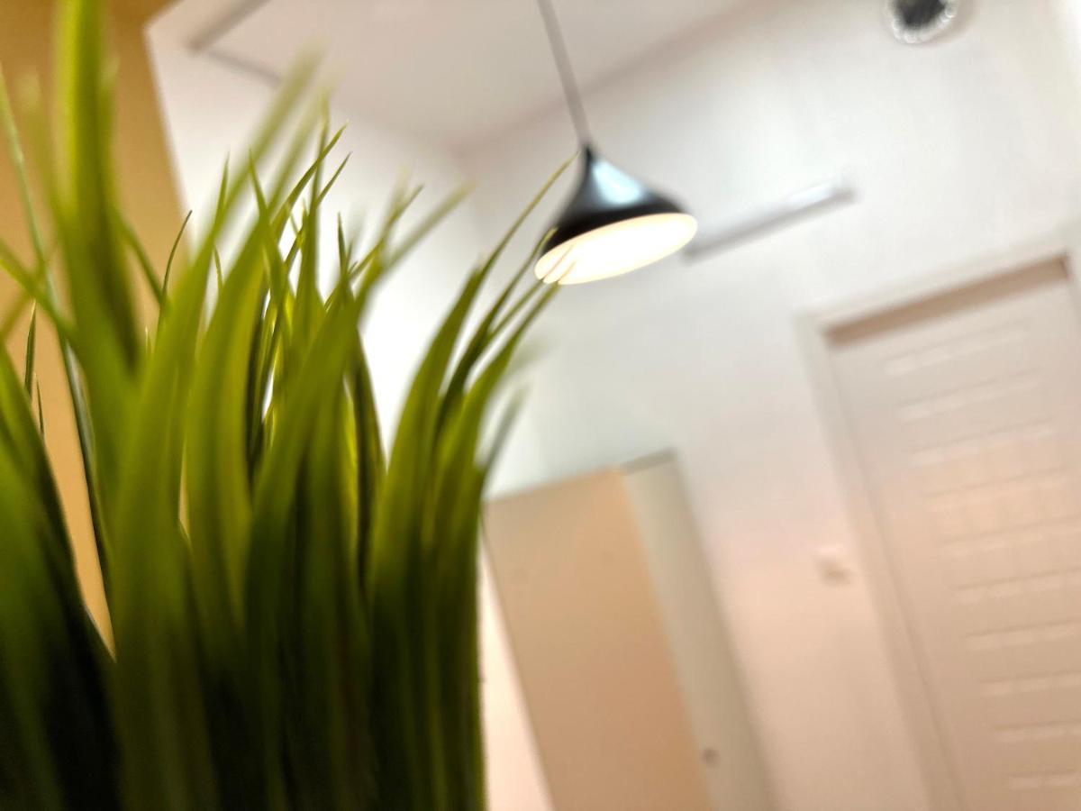 Budget Double Partition In Barsha Heights Near Metro Homestay *